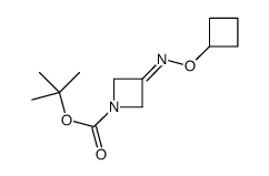 tert-butyl 3-cyclobutyloxyiminoazetidine-1-carboxylate Structure