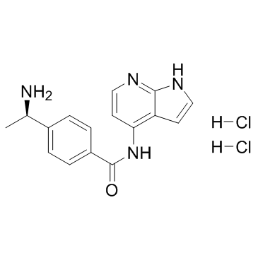 173897-44-4 structure