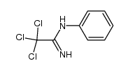 2,2,2-trichloro-N-phenyl-acetamidine Structure