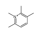 55508-48-0 structure