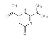 2-二甲基氨基-6-氧代-3H-嘧啶-4-羧酸结构式