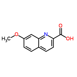 7-Methoxy-2-quinolinecarboxylic acid picture