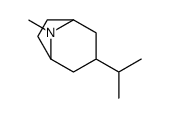 Tropane, 3alpha-isopropyl- (7CI) structure