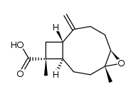 108525-13-9 structure