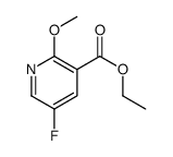 Ethyl 5-fluoro-2-methoxynicotinate picture