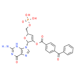 2'-O-(4-benzoylbenzoyl)guanosine cyclic 3',5'-monophosphate structure