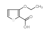 3-乙氧基噻吩-2-羧酸图片