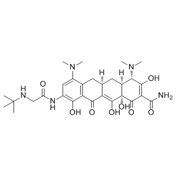 Tigecycline picture