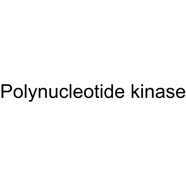 Polynucleotide kinase Structure