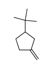 3-Methylene-tert-butylcyclopentane结构式