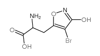 2-amino-3-(4-bromo-3-hydroxyisoxazol-5-yl)propanoic acid structure