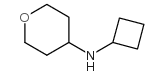 环丁基-(四氢-吡喃-4-基)胺结构式