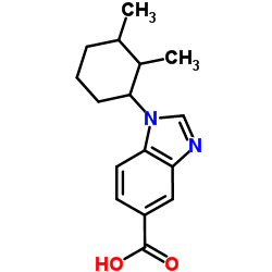 1-(2,3-Dimethylcyclohexyl)-1H-benzimidazole-5-carboxylic acid图片