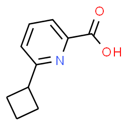 6-Cyclobutyl-2-pyridinecarboxylic acid结构式