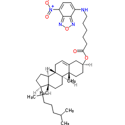 5-cholesten-3-ol 6-[(7-nitro-2-1,3-benzoxadiazol-4-yl)amino]caproate Structure