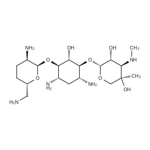 gentamycin C1a picture