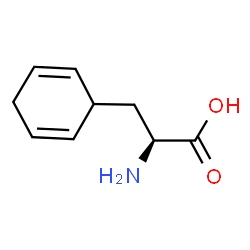 334024-42-9 structure