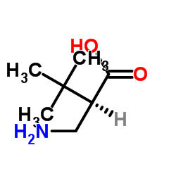 3-Amino-4,4-dimethylpentanoic acid picture