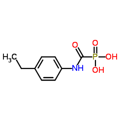 ISO24 Structure