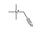 cyanomethyl(trimethyl)azanium结构式