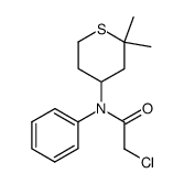 2-chloro-N-(2,2-dimethyltetrahydro-2H-thiopyran-4-yl)-N-phenylacetamide Structure