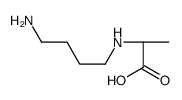 (2S)-2-(4-aminobutylamino)propanoic acid Structure