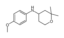 N-(4-methoxyphenyl)-2,2-dimethyloxan-4-amine结构式