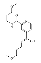 沙非罗尼图片