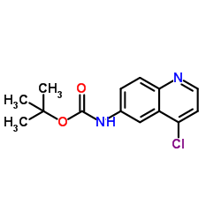 (4-氯喹啉-6-基)氨基甲酸叔丁酯结构式