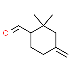 Cyclohexanecarboxaldehyde, 2,2-dimethyl-4-methylene- (9CI)结构式