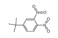 4-t-butyl-1,2-dinitrrobenzene Structure