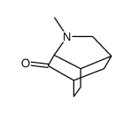 3,6-Methano-7H-indol-7-one,octahydro-1-methyl-(9CI) structure