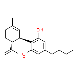 CBDB Structure