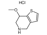 7-methoxy-4,5,6,7-tetrahydro-thieno(3,2-c)pyridine hydrochloride结构式