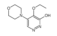 5-ethoxy-4-morpholin-4-yl-1H-pyridazin-6-one Structure