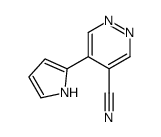 919785-62-9结构式