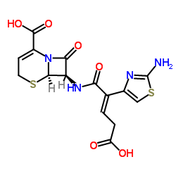 trans-Ceftibuten Structure