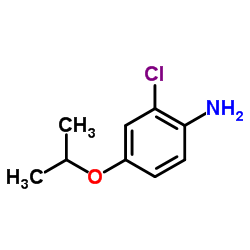 1071989-24-6 structure