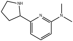 Dimethyl-(6-pyrrolidin-2-yl-pyridin-2-yl)-amine结构式