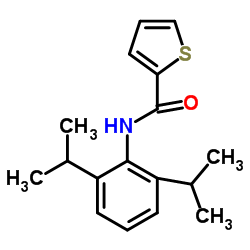 2-Thiophenecarboxamide,N-[2,6-bis(1-methylethyl)phenyl]- Structure