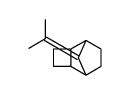 9-(propan-2-ylidene)tricyclo[4.2.1.02,5]nonane Structure