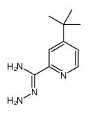 N'-amino-4-tert-butylpyridine-2-carboximidamide Structure