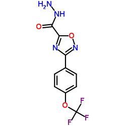 3-(4-(三氟甲氧基)苯基)-1,2,4-噁二唑-5-碳酰肼结构式