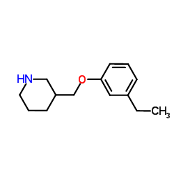 3-[(3-Ethylphenoxy)methyl]piperidine结构式