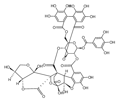 Elaeocarpusin Structure