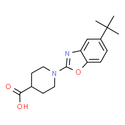 1-(5-tert-Butyl-1,3-benzoxazol-2-yl)piperidine-4-carboxylic acid picture