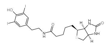 N-(4-hydroxy-3,5-diiodophenylethyl)biotin amide structure