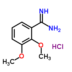 2,3-Dimethoxy-benzamidine HCl picture