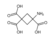 1,1,3-Cyclobutanetricarboxylicacid,3-amino-(9CI) picture