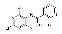 2-chloro-N-(2,6-dichloro-4-methylpyridin-3-yl)pyridine-3-carboxamide Structure